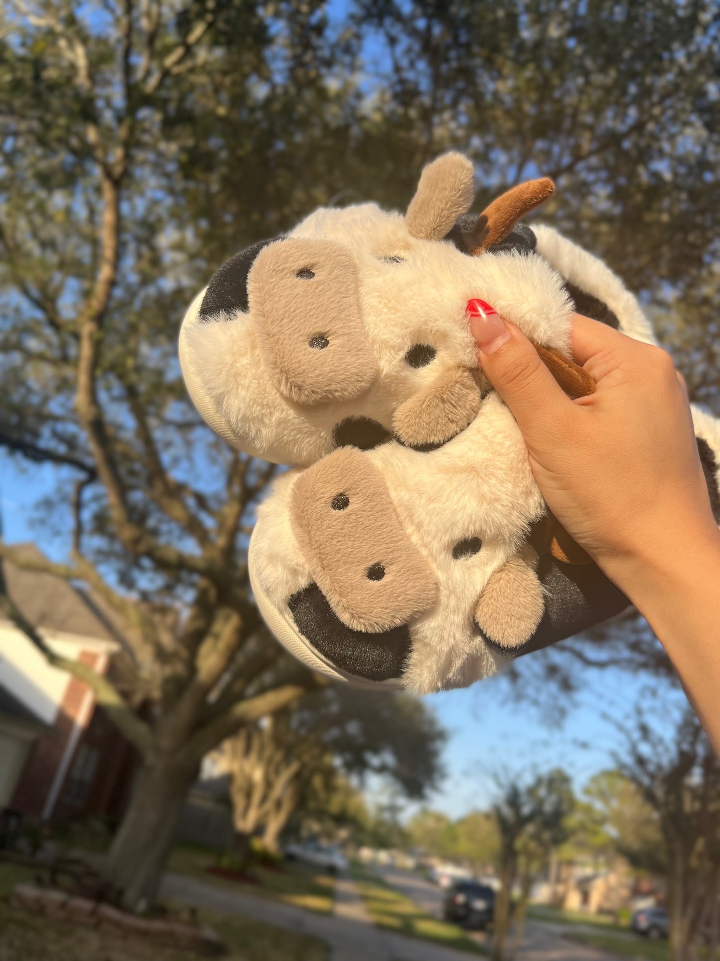 Cow slippers
